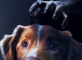 Mapapanood mo ang Good Boy sa Disney+ sa katapusan ng Abril