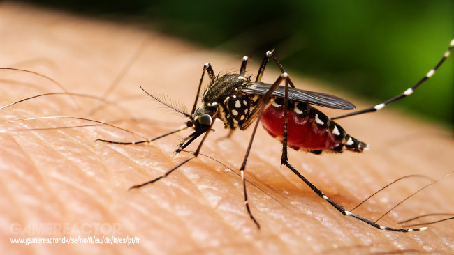 Kaso ng dengue, lumampas na sa 44,000 sa Sri Lanka noong 2026 pa lamang