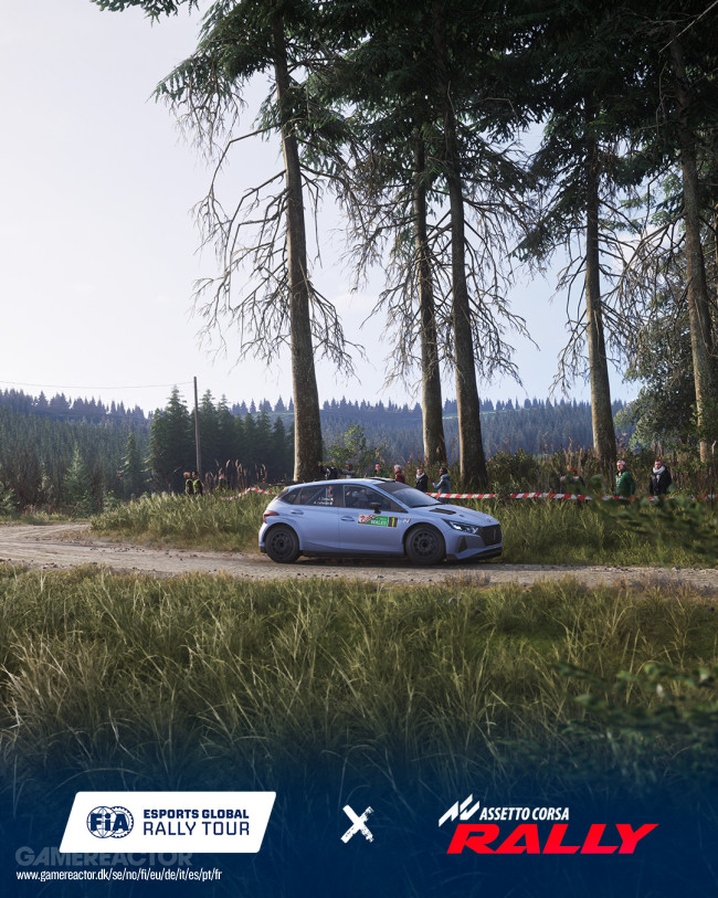 Assetto Corsa Rally