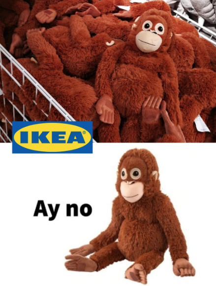 Sino ang Punch the Monkey? Ang batang macaque na naging halos mas sikat kaysa kay Donald Trump