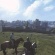 Life is Feudal: MMO