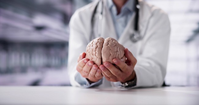 Ang mga siyentipiko ay lumikha ng unang detalyadong atlas kung paano nabubuo ang utak ng tao mula sa embryo hanggang sa pagtanda