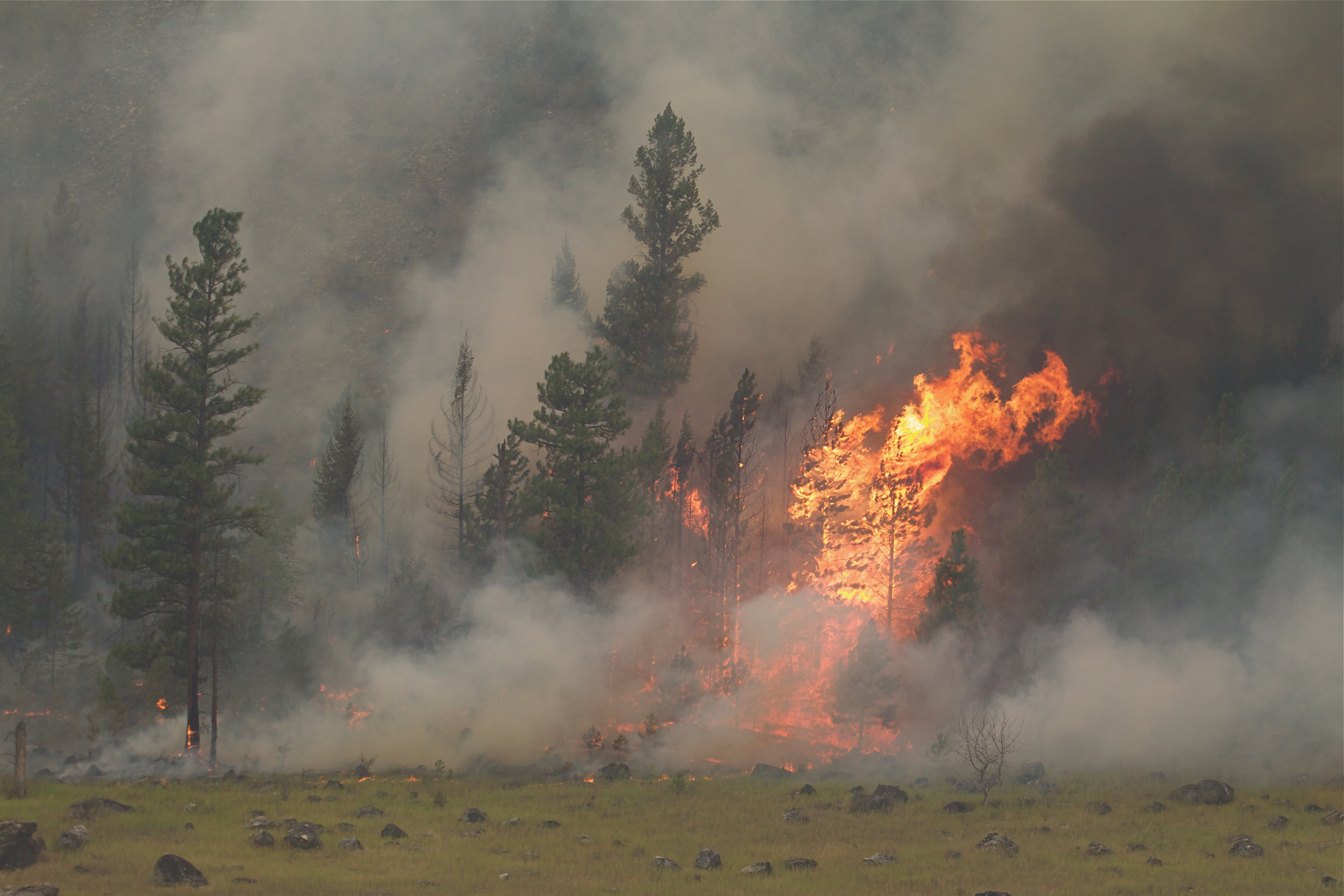 Idineklara ang estado ng emerhensiya sa Washington habang sumasakop ang mga wildfire sa rehiyon ng US
