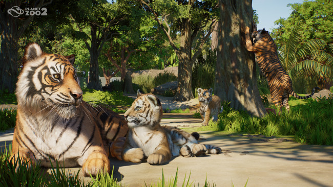 Planet Zoo 2 Preview: Isang ambisyosong sumunod na pangyayari na nagpapataas ng formula ng Planet
