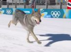Ang lokal na mabuting batang lalaki na si Nazgul ay bumagsak sa ski race sa Olympics: Siya ay "matigas ang ulo ngunit napakabait"