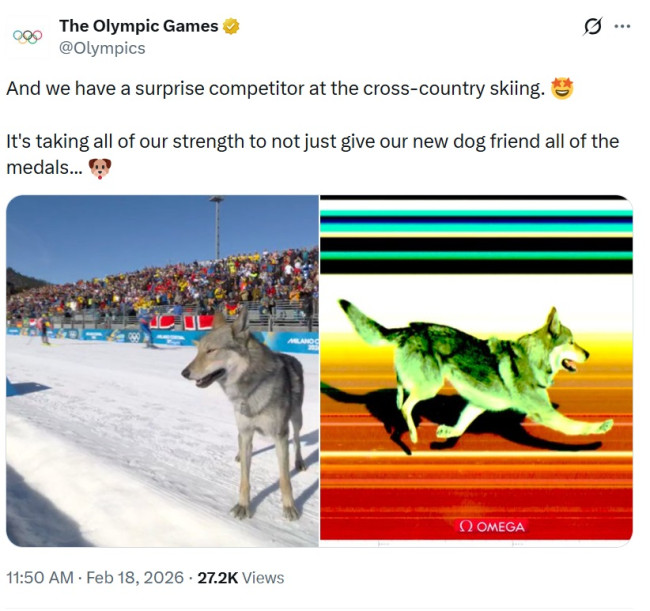 Tahimik na tinanggal ng opisyal na Olympics X account ang nakakatawang post ng viral ngunit medyo mapanganib na insidente ng aso