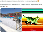 Tahimik na tinanggal ng opisyal na Olympics X account ang nakakatawang post ng viral ngunit medyo mapanganib na insidente ng aso