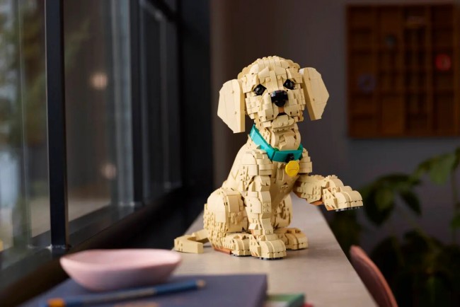 Lego nagtatanghal kaibig-ibig Golden Retriever Puppy set