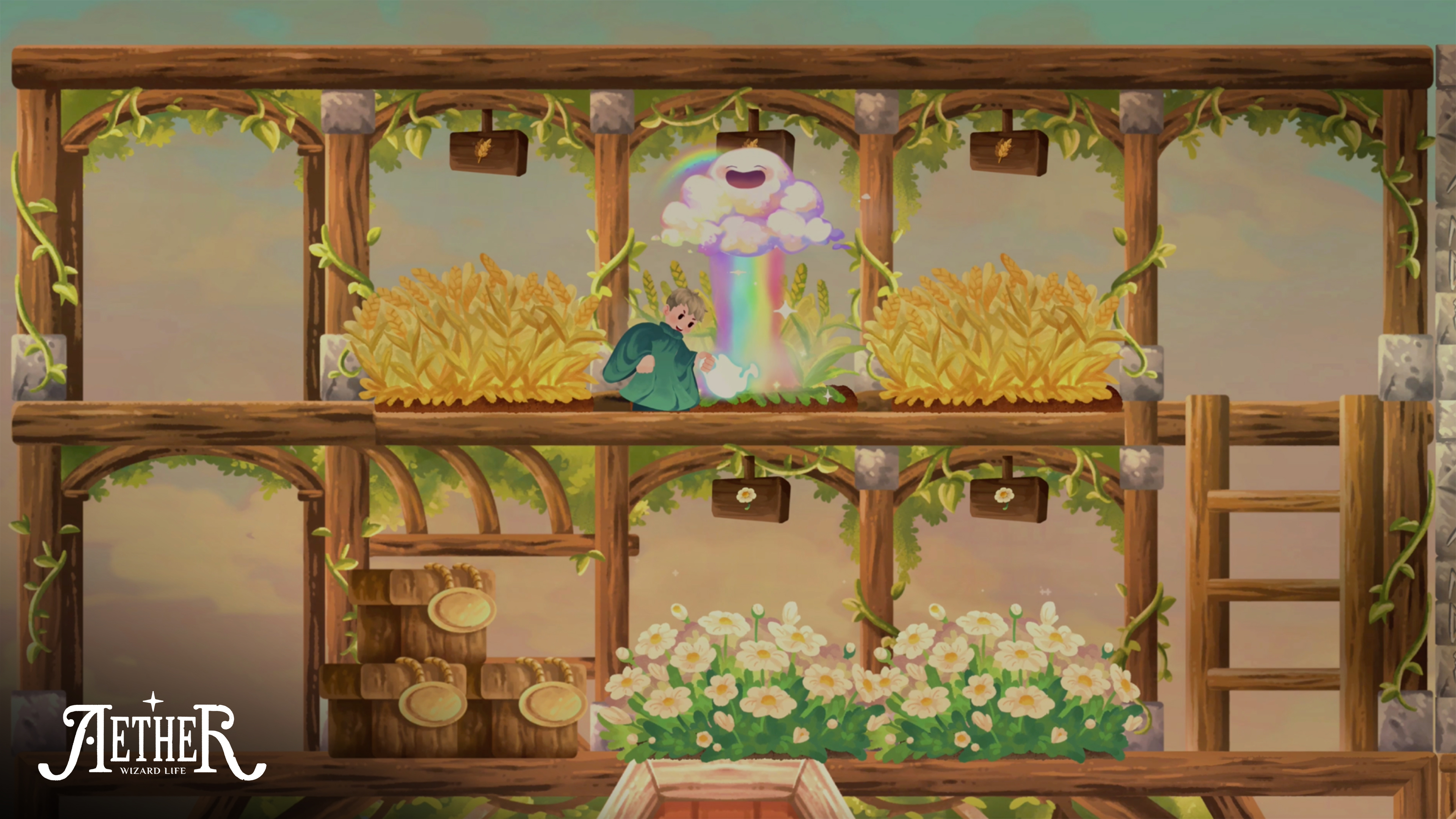 Aether Wizard Life
