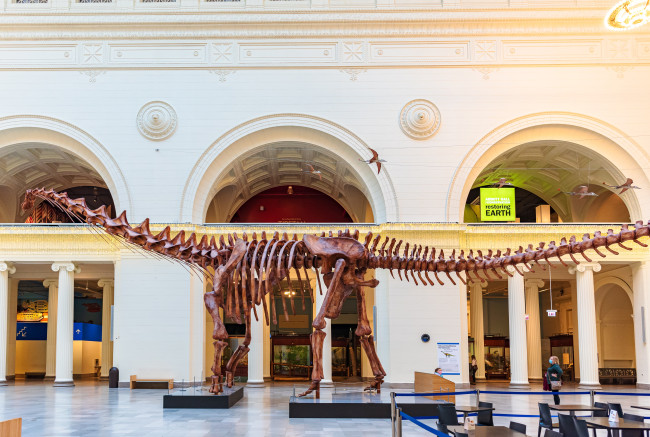 Buto ng dinosaur na natagpuan sa isang drawer ay unang natuklasan sa Antarctica