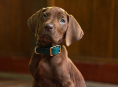 Si Scooby-Doo ay magiging isang tunay na aso sa serye ng live-action prequel ng Netflix Scooby-Doo: Origins 